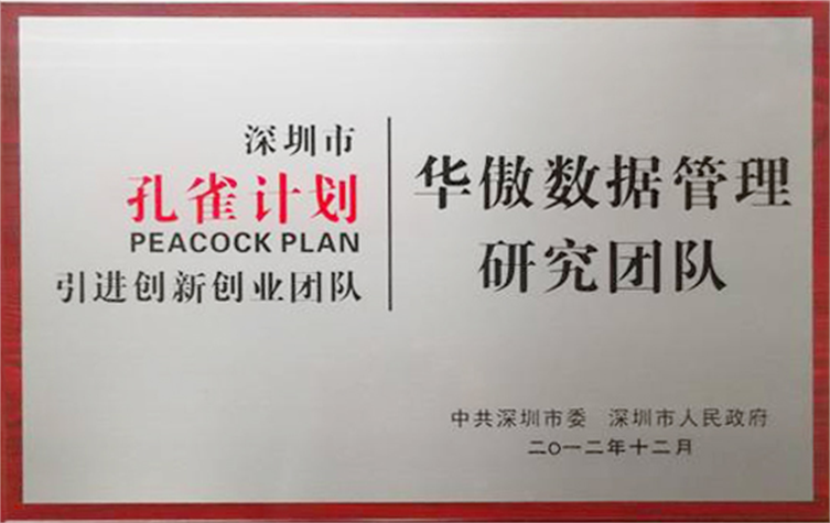 深圳市孔雀團隊