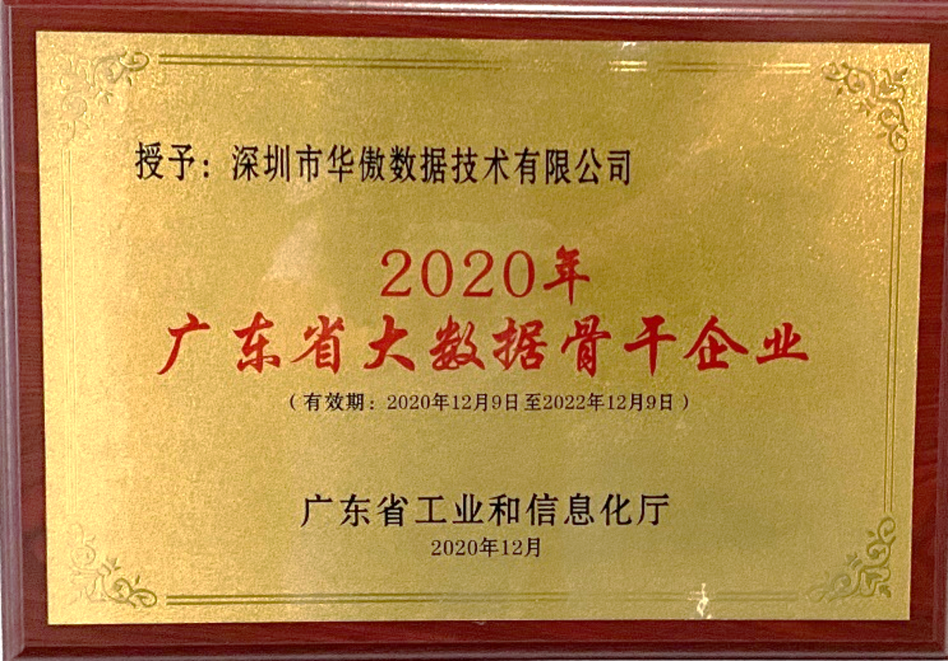廣東省大數據骨干企業
