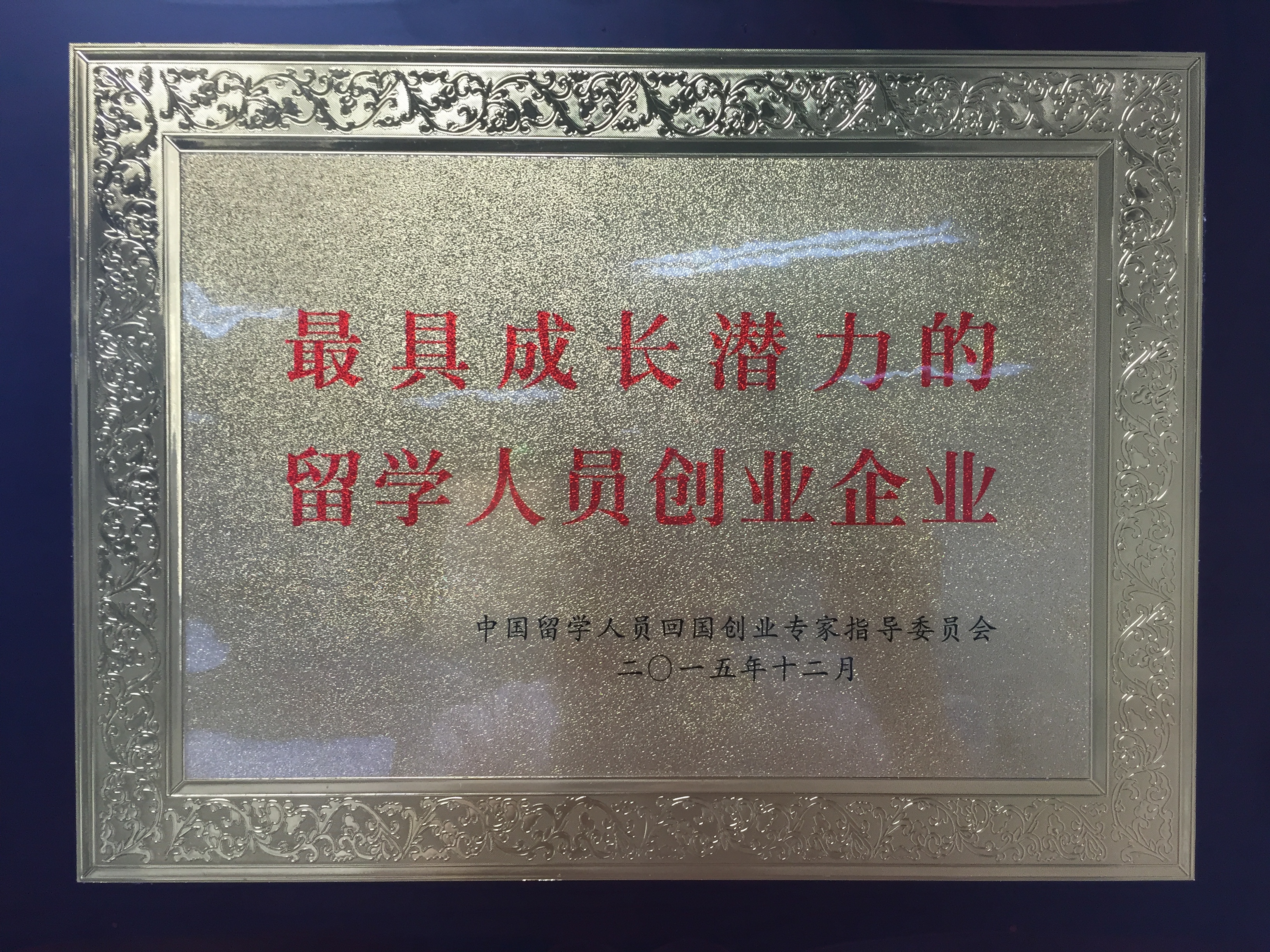 最具成長潛力的留學人員創業企業